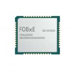 BT IC FC64EBAATA Short Range Wireless Modules LCC Dual-Band WiFi And BT 5.2 Modules for sale