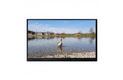 China LED Interactive Whiteboard All In One Smart Board 3840x2160 supplier