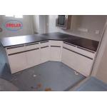 Blue Color Chemistry Lab Bench Laboratory Bench With Storage Indonesia Ceramic Sink for sale