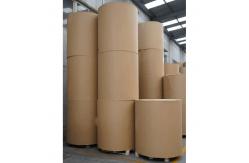China Customized PE Coated Kraft Paper Roll for Paper cups supplier
