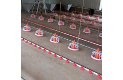 China Chicken 15 Nipples/3m Automatic Drinker Cup System supplier