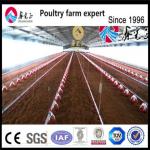 Prefab Steel Structure Breeder Chicken Houses Agricultural Livestock House for sale