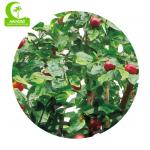 Chinese Goods Wholesale Artificial Apple Tree 2.8m Artificial Fruit Tree