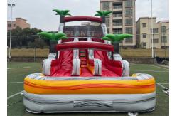 China Palm Tree Double Lane 18Oz Inflatable Water Games Slide supplier