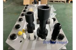 China Hot Water Sanitizable Stacks Reverse Osmosis EDI Membrane Stack Electro-Deionization supplier