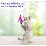 Feather Puzzle Wand Cat Toy Interactive With Bell For Kitty