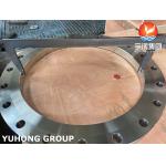DIN2576 F304 Stainless Steel Slip On Flange Socket Weld Forged Flange for sale