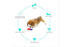 China Ice Lolly Dog Chew Toy Brushes Teeth Floatable TPR ABS Material supplier