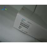 Phased Array Ultrasound Probe Transducer Siemens X300 X300PE P5-1
