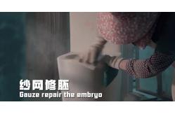 China Wall Hung Toilet manufacturer
