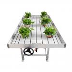 4*8ft ABS Hydroponic Greenhouse Rolling Benches 75cm Height for sale