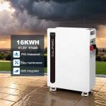 China 16kwh Waterproof Lithium Energy Storage Battery Power System CAN IP65 for Home Use 10kwh/20kwh/30kwh/40kwh Lifepo4 Solar System for sale