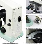 CFI Optical System Compound Optical Microscope A12.0705 For Laboratory