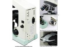 China CFI Optical System Compound Optical Microscope A12.0705 For Laboratory supplier