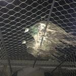 Corrosion Resistant Black Oxide Zoo Animal Fence Mesh
