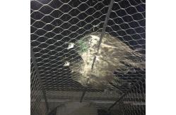 China Corrosion Resistant Black Oxide Zoo Animal Fence Mesh supplier