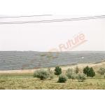 0.5kWh Solar PV Tracker Backtracking 2P Mechanical Solar Tracker for sale