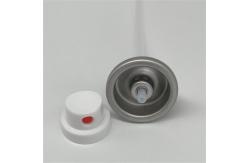 China Eco-Friendly Dry Shampoo Spray Valve for Green Salons with Sustainable Design supplier