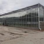 Multi-span Agricultural Greenhouses Venlo Tempered Glass Greenhouse With Hydroponic Growing System for sale