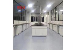 China Customizable Chemistry Lab Furniture Modern Powder Coated Tables Integrated Design supplier