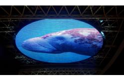 China DIP P25 Grille 800 Pixel/Sqm LED Transparent Screen Pure Black supplier