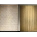 PVB Film Decorative Metal Mesh Laminated Glass Advanced Buildings for sale