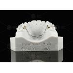 ADL Transpalatal Arch Space Maintainer Removable Space Maintaining Arch for sale