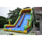 Simple Large Inflatable Dry Slide / Bright Colour Palm Tree Slides for sale