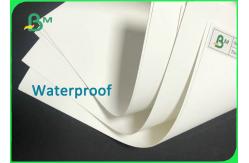 China 130um - 350um Synthesis Paper High Tear Strength For Printing Posters supplier