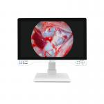 Advanced 32 4K Endoscopy Camera With Integrated Light Source And Display For Laparoscopic System for sale