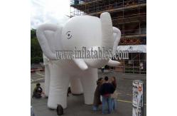 China Advertising Inflatable Model with elephant animal model supplier