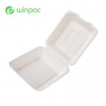 Custom Logo Sugarcane Bagasse Clamshell 9 Inches Hamburger Takeaway Salad Bowls for sale