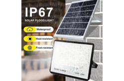 China Lens highlighting garden spotlights solar powered flood light remote control supplier