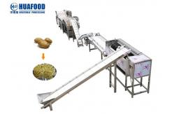 China Full Automatic Fruit And Vegetable Processing Line Root Leafy Asparagus Washing Line supplier