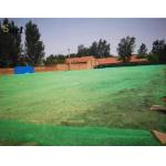 50m - 200m Green Debris Netting Customized Scaffold Debris Mesh for sale
