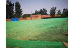 China 50m - 200m Green Debris Netting Customized Scaffold Debris Mesh supplier