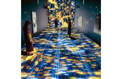 China Immersive Holographic Restaurant Immersive Holographic Projector Wedding Hall Projection supplier