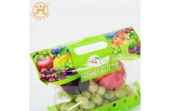 China 750g Transparent Composite Fresh Fruit Vegetable Packaging Bopp Plastic Bags supplier