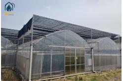 China Indoor Strawberry Growing Troughs Greenhouse PVC Hydroponic Gully Vertical Farming System supplier