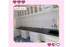 China Customizable Chemistry Lab Bench With Sinks Insertion Aluminum Alloy Handle For Hospital supplier
