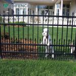 6ftx8ft Metal Tube Anti Rust Security Steel Fence Wrought Iron Fence Panels for sale