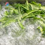 Single tank vegetable washing machine Fruit Orange Vegetable Leaves Vegetables sward beans  soybeans  green beans  Onions Herbs Wash Washer Washing Cleaning processing production