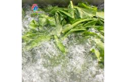 China Silver Fruit And Vegetable Processing Line for Fast and Effective Processing supplier