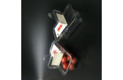 China Corrosion Resistance Plastic Packaging Boxes Punnet Pack Box supplier