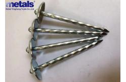 China 1.5-3 Electro Galvanised Roof Nails 11 Gauge ODM supplier