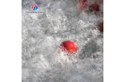 China SS Fruit And Vegetable Hair Roller Bubble Cleaning Machine 800KG/H supplier