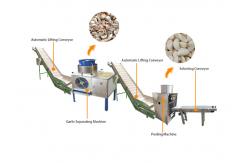 China 7kw Automatic Garlic Peeling Machine Production Line 2000kg/h capacity supplier