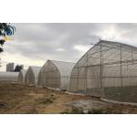 Stainless Steel Sigma Hoop House Greenhouse With Hydroponic Growing System for sale