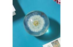 China Custom Resin Paperweight 3 Inch 4 Inch 5 Inch Crystal Paper Weights supplier