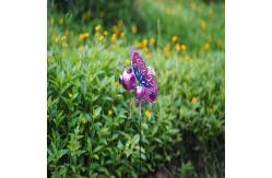 China IP44 Metal Butterfly Solar Garden Ornaments Plug In LED Lamp supplier